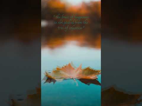 Nature & Musique ❤️️ Nature & Music