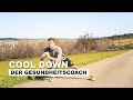 Der Gesundheitscoach: Cool Down | SPROSSENWAND