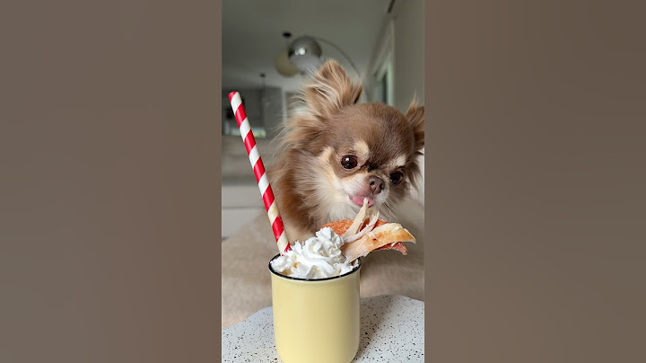 My Dog’s Favorite Treat 😋🍦