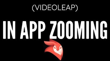 HOW TO ZOOM IN ON VIDEOLEAP (Tutorial)