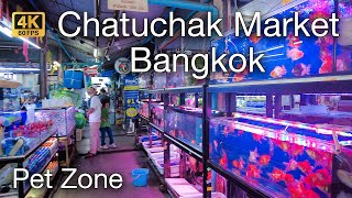 [4K] Walk Through Chatuchak Weekend Market Pet Zone | Biggest Pet Market in Bangkok |  Sep 2023