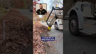 This giant leaf vacuum sounded way more effective than it was.