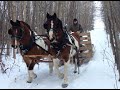 Horse Drawn Sleigh Ride - Christmas Eve