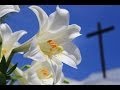 ♫うるわしの野の百合　讃美歌496番　Happy　EASTER　イースターのお祝い。Lilies of the Field.　Christ　is Risen. Hymn Japanese.