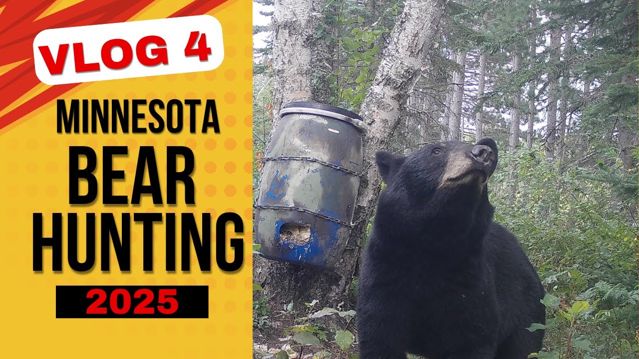 Minnesota bear hunting vlog 4