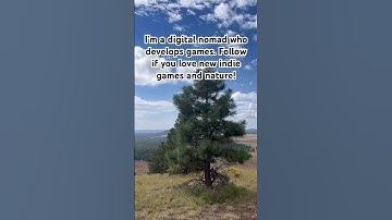 Follow if you love new indie games and nature! #indiegame #nature #nomadic #gamedev #vanlife #games