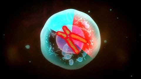 Aneuploidy - Cell division slipped out of gear