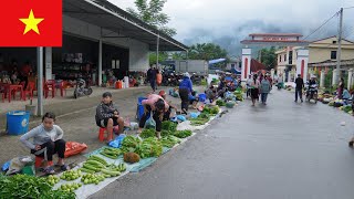 Download Lagu Vietnam Traditional Market | Journey Through Trang Kim Market, Ha Giang MP3 Download Lagu Vietnam Traditional Market | Journey Through Trang Kim Market, Ha Giang MP3