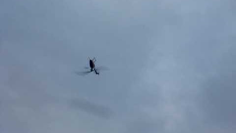 First flip with Align T-rex 450 Pro