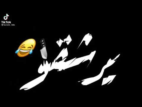 كتاكيت وحلمهم يرشقو في السيط