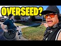 LET'S HELP HIM WITH HIS LAWN ~ NEW PROJECT VISIT 🔥 OVERSEEDING OR FULL RENOVATION?