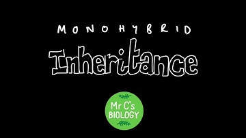 Monohybrid Inheritance (A Level Biology)