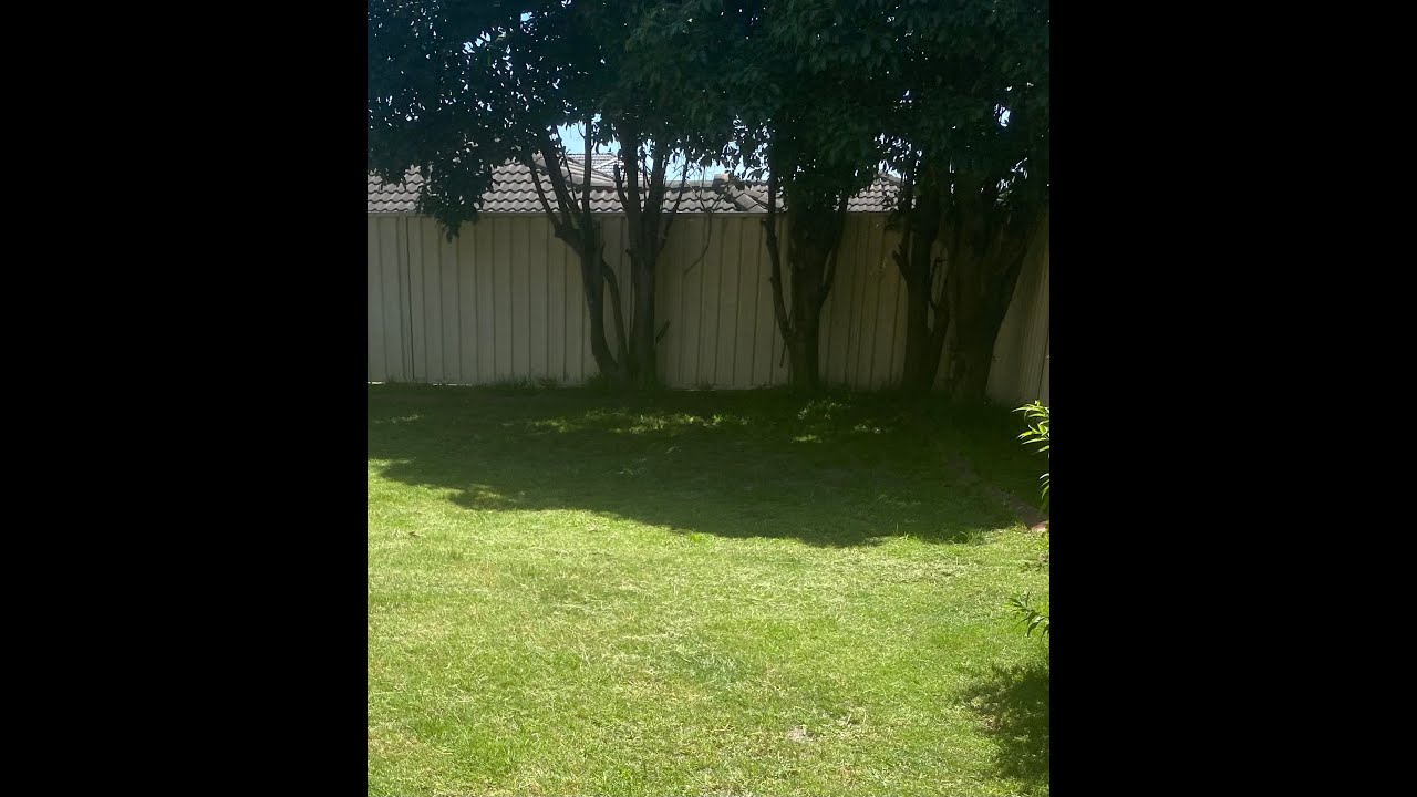 Три дня Мои #домашние_обязанности #внутри #приготовление_еды #уборка_на_улице #🧽