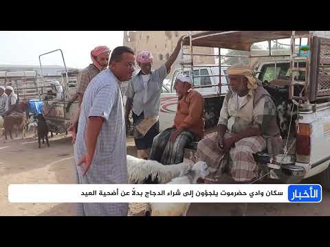 ارتفاع أسعار الأضاحي يلقي بظلاله على عيد الأضحى في حضرموت
