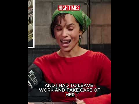 ZOE KRAVITZ's Friends Get ACCIDENTALLY HIGH ON MUSHROOMS After RAIDING HER FRIDGE? WHO'S TO BLAME?