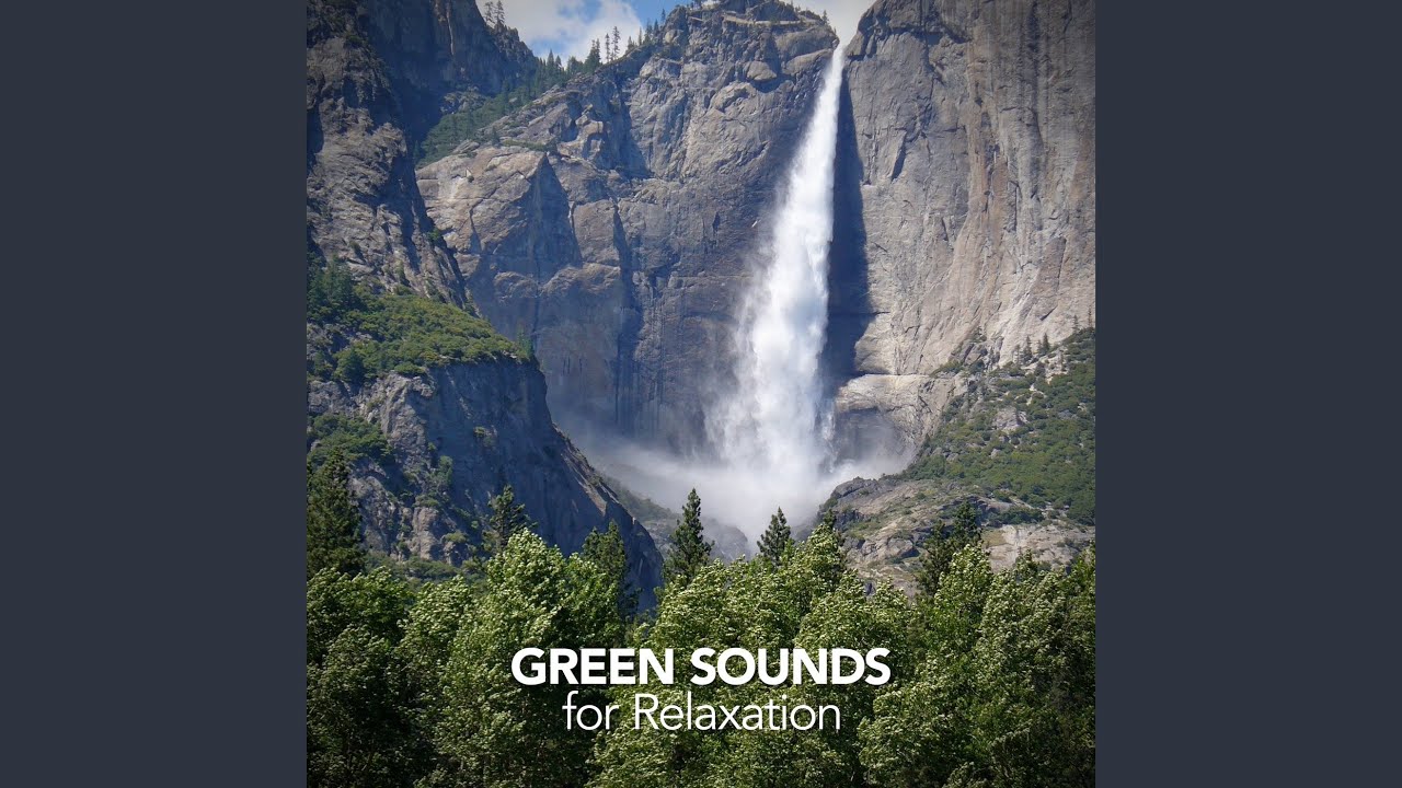 The Undercurrent YouTube