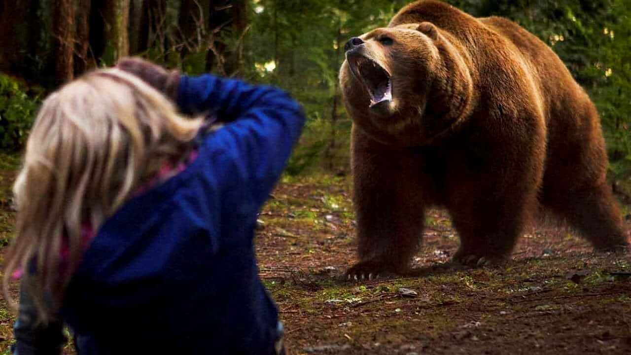 They Accidentally Ran Over a Bear Cub & The Mother Bear Seeks Revenge ...