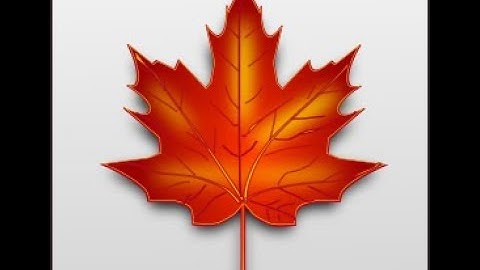 Operating Systems (Smruti R. Sarangi): mm_struct and maple trees (Chap 3, Part III)