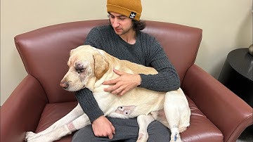 ECE 4180 Lab 5 Part 4