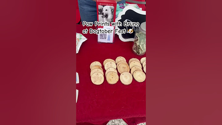 I had so much fun doing paw prints with my dog. #dogs #pets #shorts