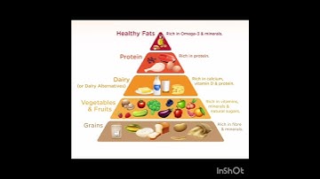 Food pyramid for kids #shorts #viral #trending