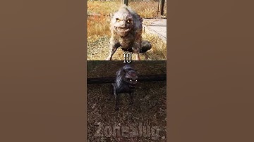 2007 vs 2024 Mutants