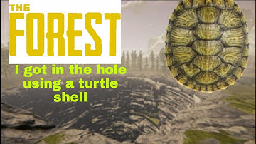 The Forest i got into the hole using a turtle shell