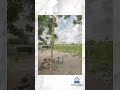 Terrain de 35 hectares en vente à Kevé Dzolo – 1.800.000 FCFA par hectare
