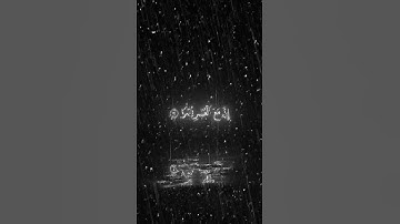 اكتب شيء تؤجر عليه اخي المسلم | القارئ اسلام صبحي