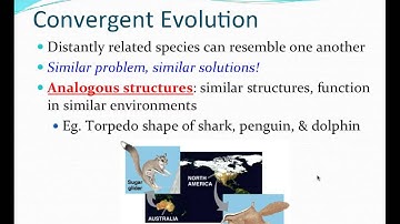 Ch 22 part 2 Evidence of Evolution