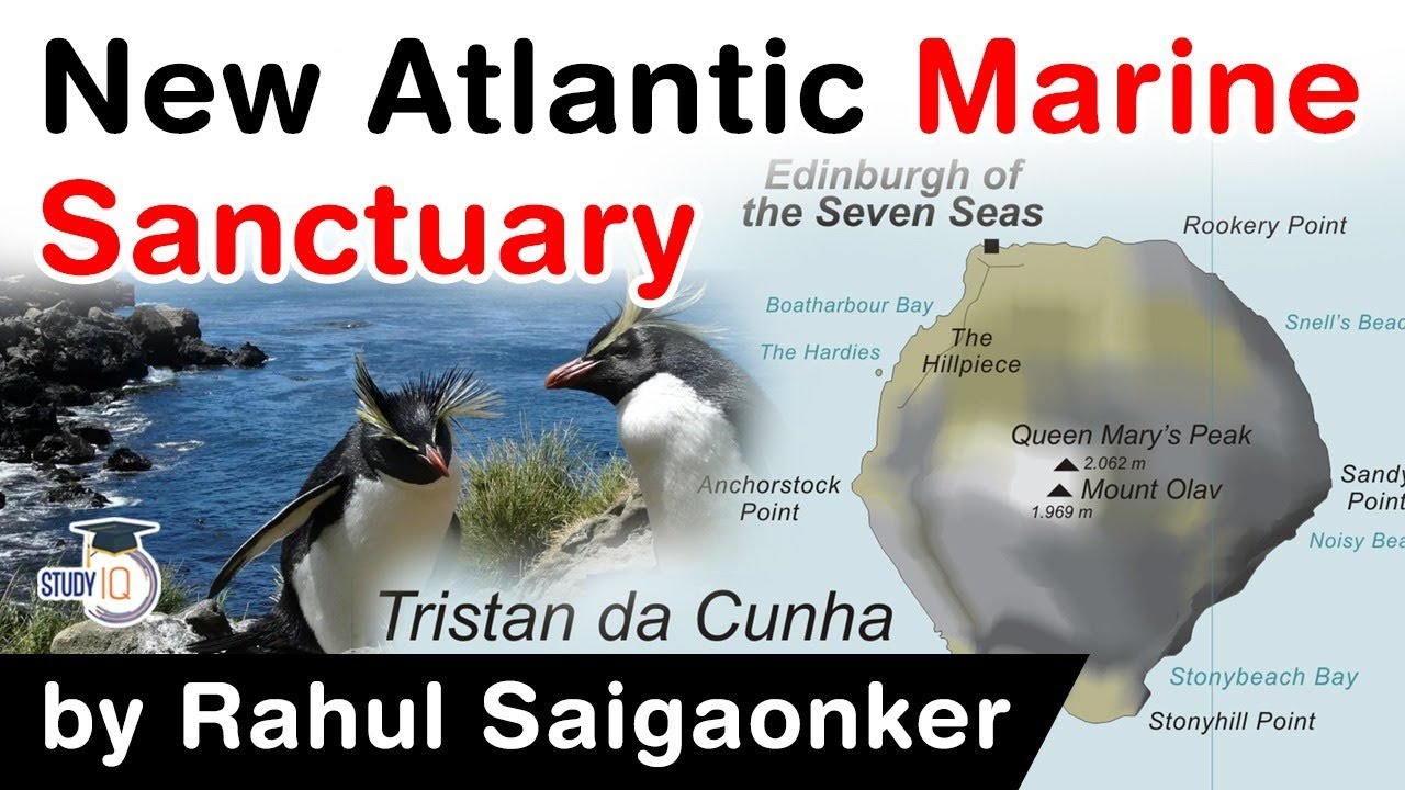 New Atlantic Marine Sanctuary - Atlantic Ocean's largest protected area near Tristan da Cunha #