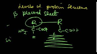 PROTEINS | MADE SIMPLE