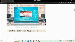 File Infector Virus
