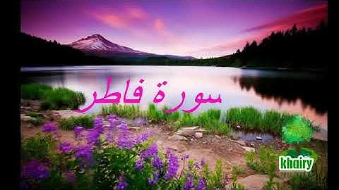 سورة فاطر الشيخ علاء المزجاجى