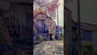 Basseiros, Amarante: Belezas Naturais e Cultura Tradicional! #shorts #aldeiashistoricas