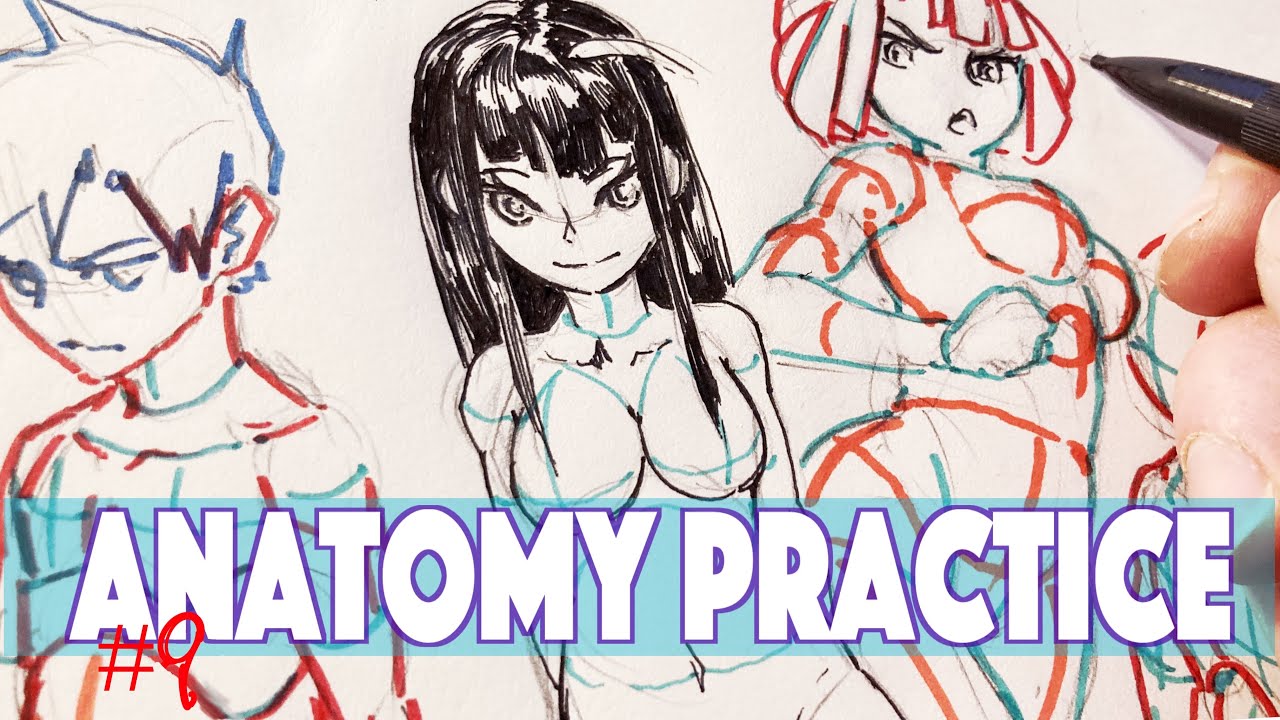 Anime Anatomy Drawing  Create the Body Base of Your Anime