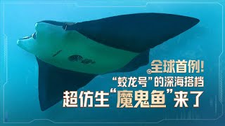 全球首例！中国的仿生鱼已经进化到这种程度了吗？仿蝠鲼水下机器人与“蛟龙号”首次深海作业视频重磅发布！20250623 | 军迷天下