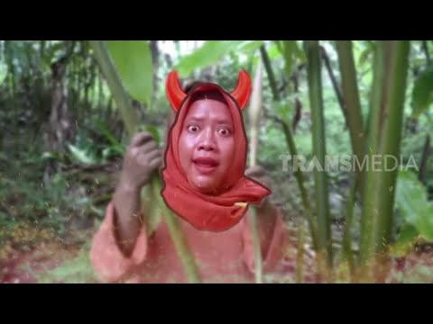 Masak Dengan