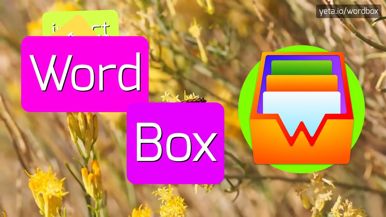 KUTTI HOW TO PRONOUNCE IT YouTube