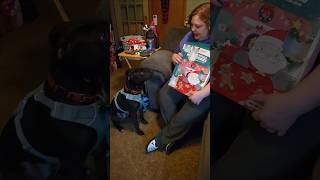 Advent Calendar for Dogs! Day 8