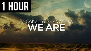 Jo Cohen &amp; Sex Whales - We Are (1 Hour Version)