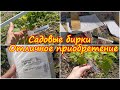 # 120. Купили чудо-бирочки и украсили наши саженцы. Загородная жизнь с нуля. Август 2022 г