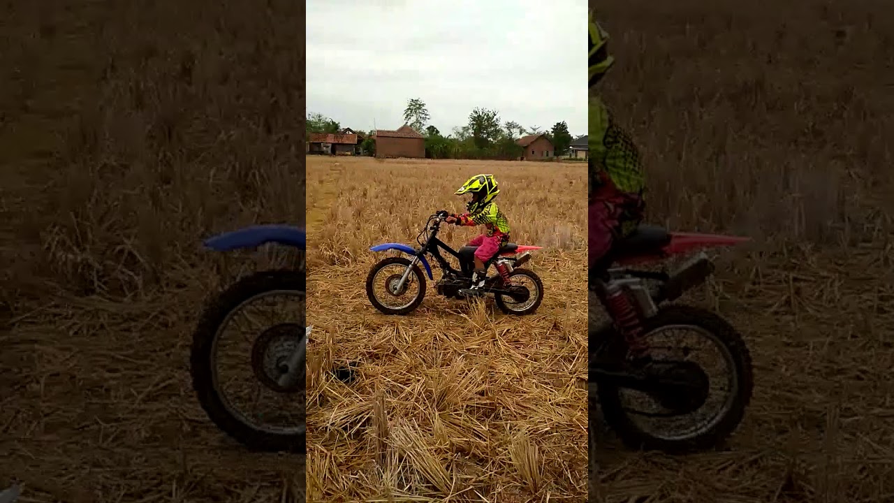 Anak Kecil Balajar Balap Motor Grasstrack YouTube