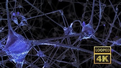 Network of Neurons and Synapses | Motion Graphics - Videohive template