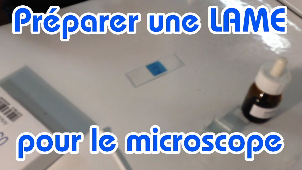 Préparer une lame pour le microscope 