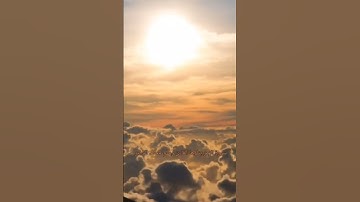 سورة الزمر القارئ وسام محمد الناصر #القرآن_الكريم #تلاوة_خاشعة #صوت_جميل #راحة_نفسية #quran #islam
