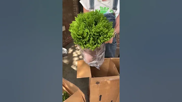 Southern Living Plant Collection Plants Are Here!