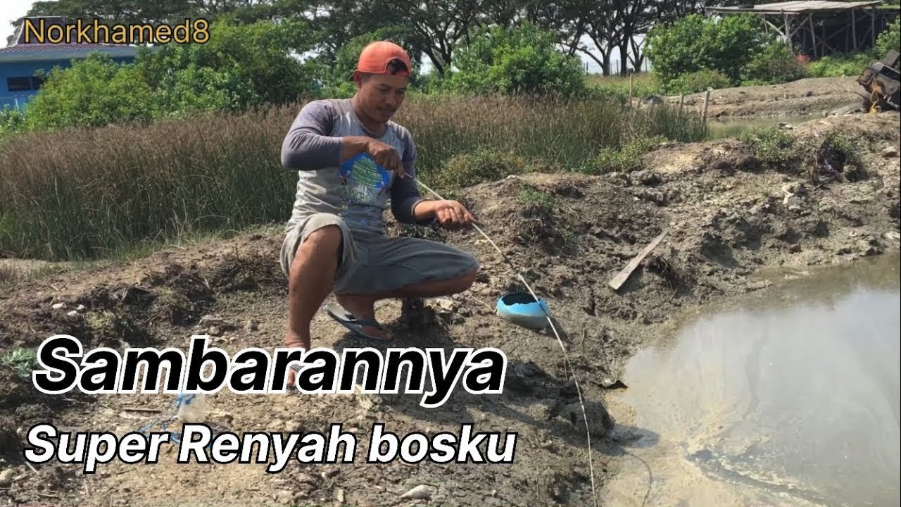 RENYAH ..!! MANCING BELUT SAAT AIR PASANG