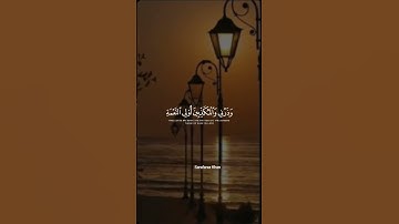 تلاوة تقشعر لها الابدان بصوت جميل🎧🌺❤ #quranexplorer #islamicscripture #quranismylife
