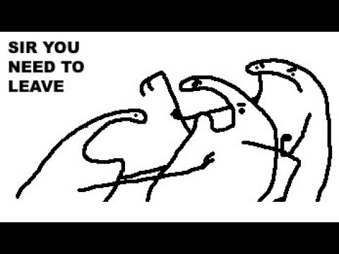 Video - 395038], Flork of Cows